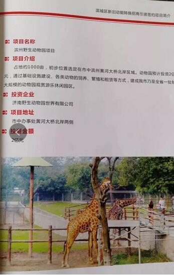 厲害了我的大濱州，15個(gè)招商引資項(xiàng)目集中簽約！